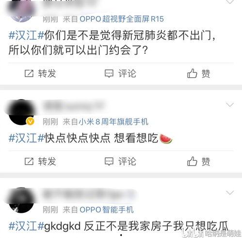 今日吃瓜爆料全集,全集揭秘娱乐圈幕后风云