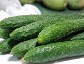 体育圈不是饭圈 明星照片 黄瓜c